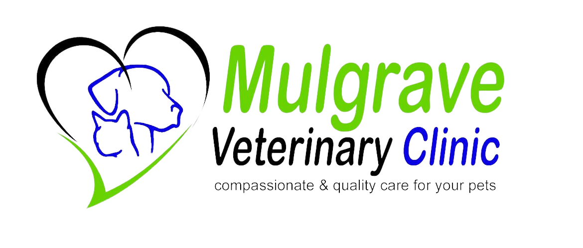 mulgrave-vet-clinic-compassionate-veterinary-care